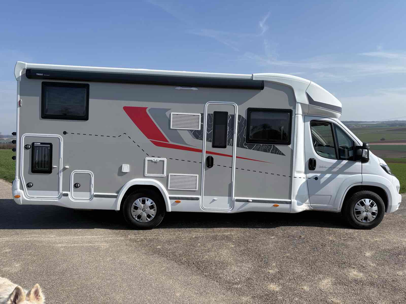 Hund steht aufmerksam am Fluß