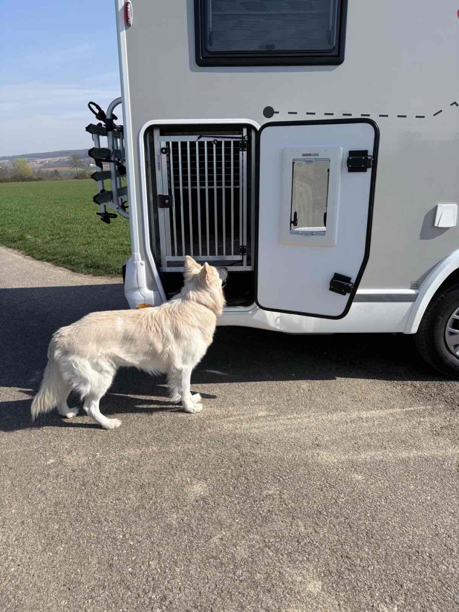 Wohnmobil mit Hundebox-Ausbau von außen