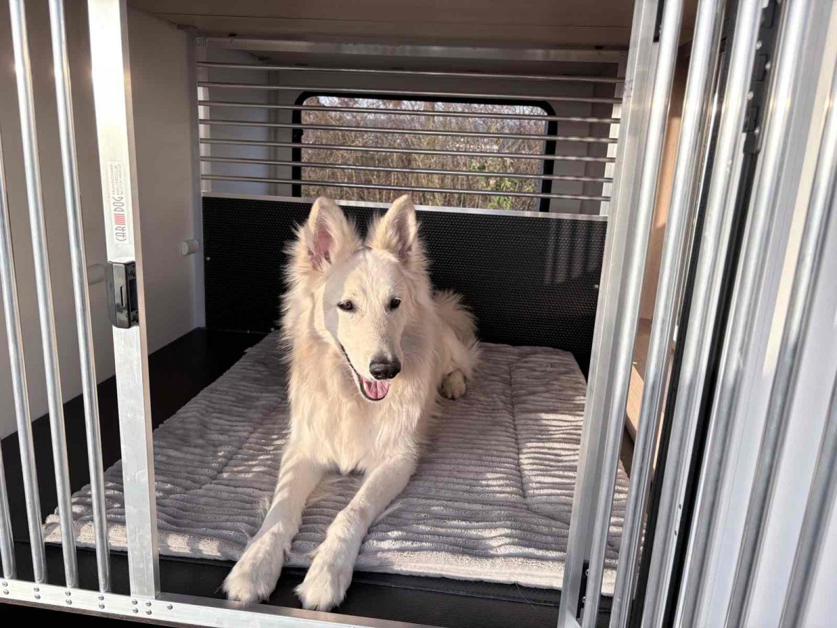 Gepolsterter Hundebereich in der Heckgarage eines Wohnmobils